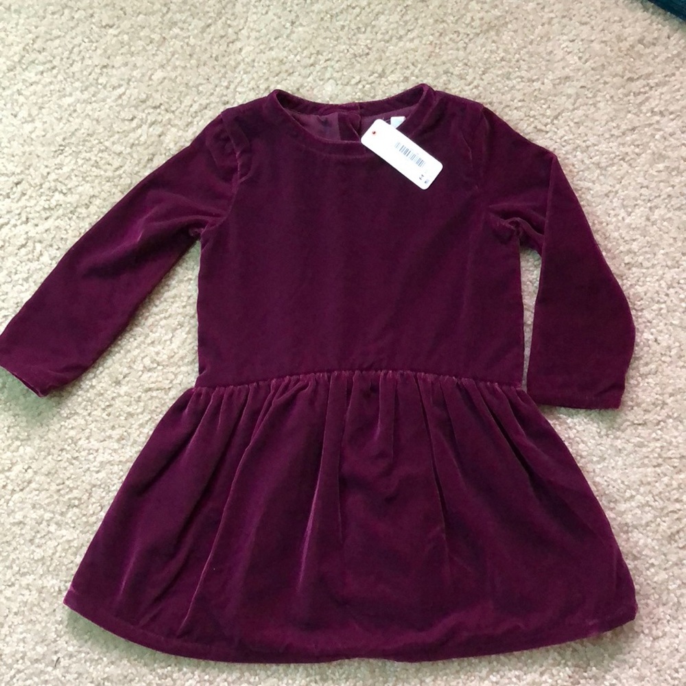 NWT Gymboree velvet dress - absolutely stunning 🤩